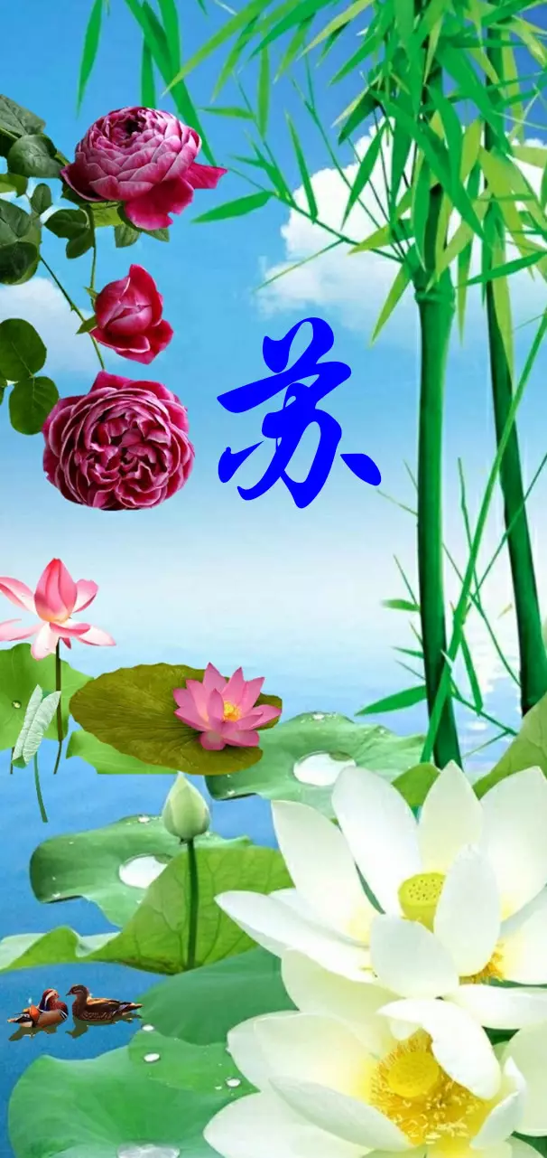 苏